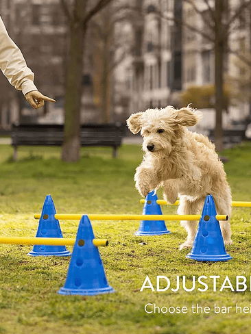🐶 Set de Entrenamiento Agility para Perros🐶  4