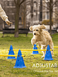 🐶 Set de Entrenamiento Agility para Perros🐶  - Miniatura 4