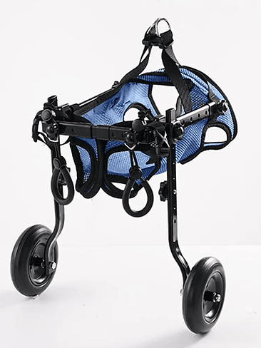 🐶 SILLA DE RUEDAS AJUSTABLE PARA MASCOTAS 🐾 1