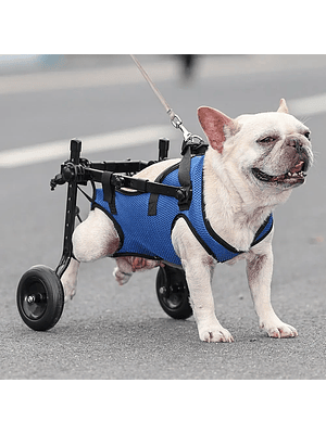 🐶 SILLA DE RUEDAS AJUSTABLE PARA MASCOTAS 🐾