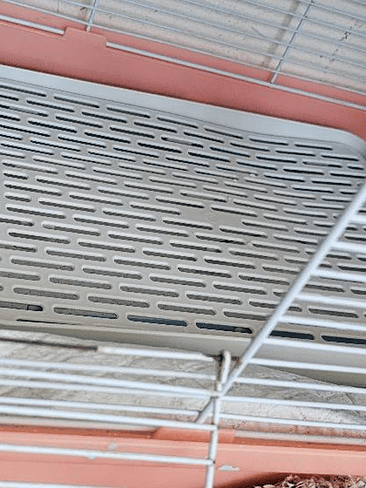 🐰 Bandeja Sanitaria Premium para Conejos y Mascotas Pequeñas 6