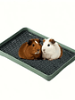 🐰 Bandeja Sanitaria Premium para Conejos y Mascotas Pequeñas - Miniatura 10