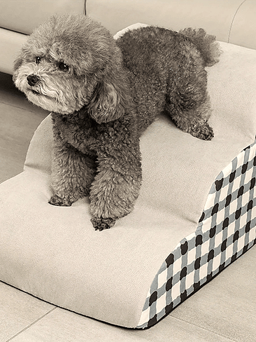 🐾 Escalera/Rampa Acolchada para Mascotas 2