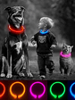 🐕 Collar LED Luminoso para Perros – Seguridad y Estilo en Cada Paseo - Miniatura 2