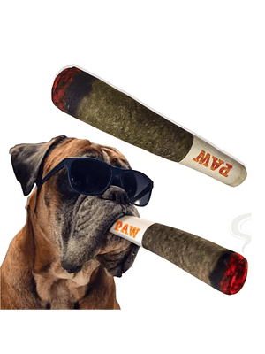 🐾 Juguete Mordedor para Perros “PAW”