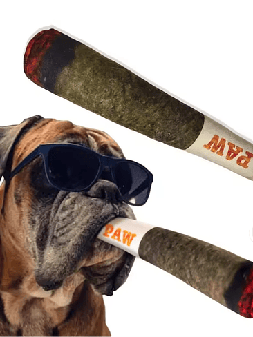 🐾 Juguete Mordedor para Perros “PAW” 1