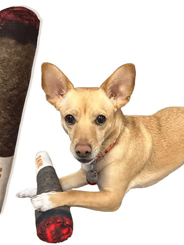 🐾 Juguete Mordedor para Perros “PAW” 2