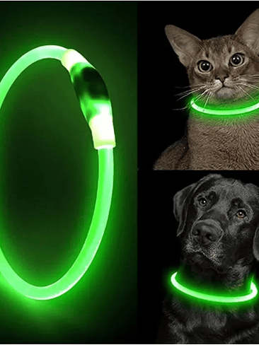 🐕 Collar LED Luminoso para Perros – Seguridad y Estilo en Cada Paseo 3
