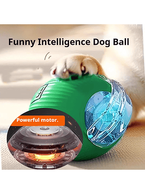 🐾 Pelota Interactiva para Perros – Versión 2026🐾 