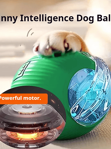 🐾 Pelota Interactiva para Perros – Versión 2026🐾  2