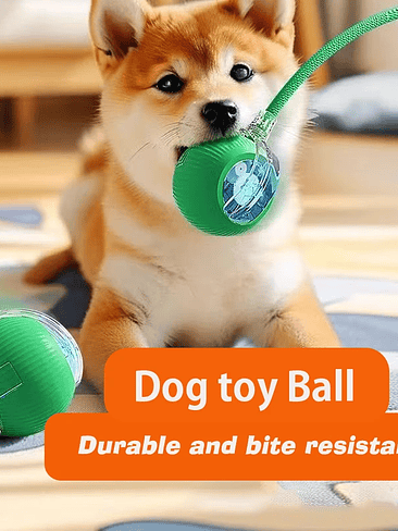 🐾 Pelota Interactiva para Perros – Versión 2026🐾  3