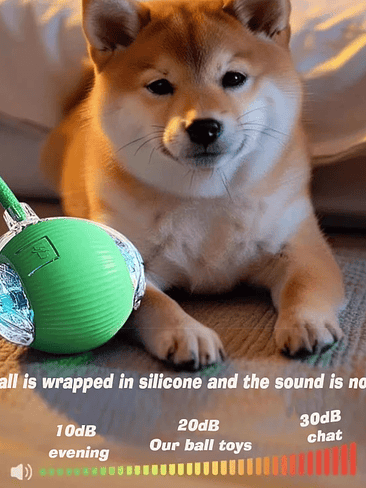🐾 Pelota Interactiva para Perros – Versión 2026🐾  4