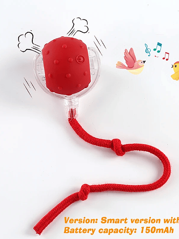 🐾 Pelota Interactiva para Perros – Versión 2026🐾  7