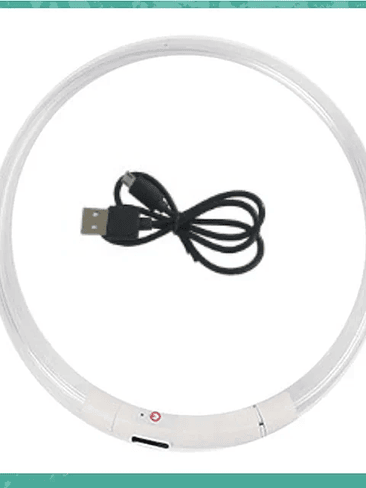 🐕 Collar LED Luminoso para Perros – Seguridad y Estilo en Cada Paseo 10