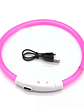 🐕 Collar LED Luminoso para Perros – Seguridad y Estilo en Cada Paseo - Miniatura 14