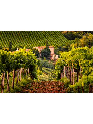 🌿 FRAGANCIA AMBIENTAL “TOSCANA” 🌿