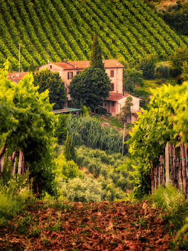 🌿 FRAGANCIA AMBIENTAL “TOSCANA” 🌿 2