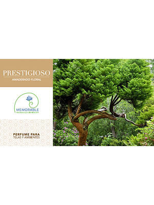 🌿 PRESTIGIOSO – Amaderado Floral