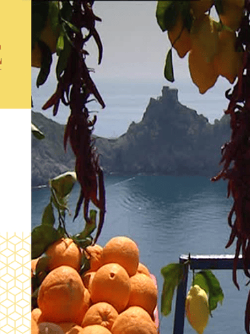 🌿 PERFUME PARA Y AMBIENTES ✨ RADIANTE – Almizcle Floral Amaderado ✨ 1