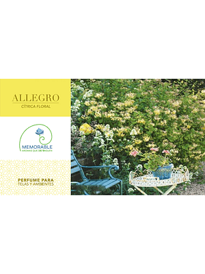 🌿✨ ALLEGRO – Perfume Ambiental Profesional Más que un aroma, una identidad