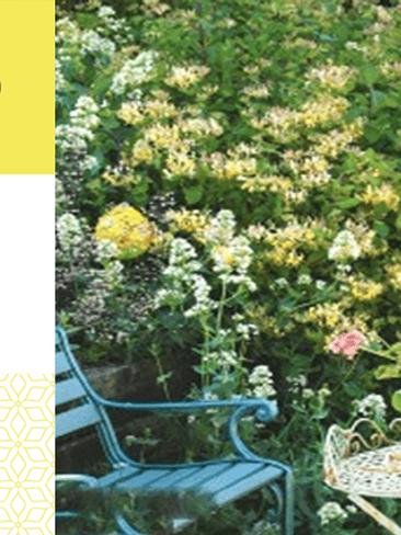 🌿✨ ALLEGRO – Perfume Ambiental Profesional Más que un aroma, una identidad 1