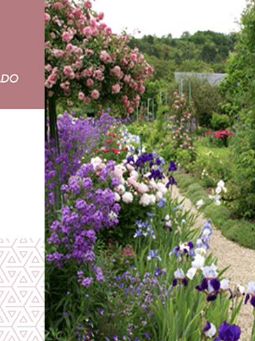 🤍 DOLCE – FRUTAL FLORAL AVAINILLADO 🤍 1