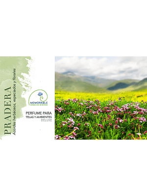🌿✨ PRADERA – PERFUME PARA TELAS Y AMBIENTES DELUXE ✨🌿