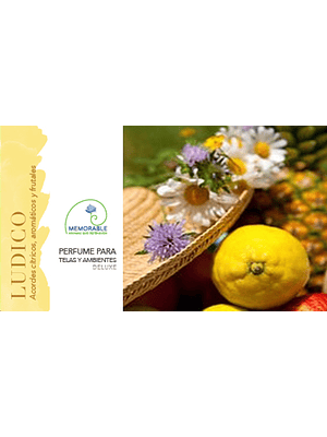 🌿 PERFUME PARA TELAS Y AMBIENTES “LUDICO” – LÍNEA MEMORABLE 🌿