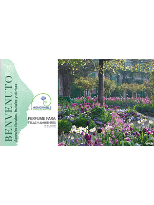 🌸 PERFUME PARA TELAS Y AMBIENTES “BENVENUTO” – DELUXE 🌸