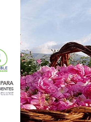 🌺 PERFUME PARA TELAS Y AMBIENTES “AMORE” – DELUXE 🌺 1