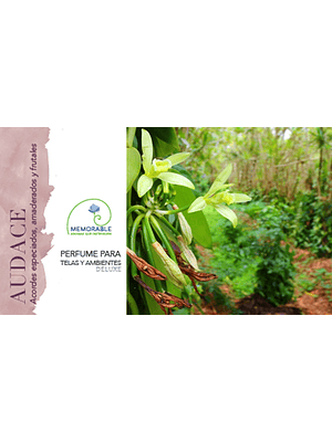 🌿 PERFUME PARA TELAS Y AMBIENTES “AUDACE” – DELUXE 🌿