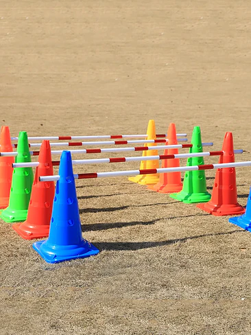  EQUIPO DE ENTRENAMIENTO CANINO  MULTIFUNCIONAL  SET DE CONOS Y BARRAS DE AGILIDAD AJUSTABLES 🏃‍♂️⚡ 7