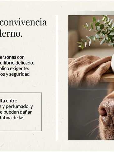 🌿🐾 Perfume Ambiental “Brisas Canina” – Huellas Pet+Family 4