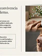 🌿🐾 Perfume Ambiental “Brisas Canina” – Huellas Pet+Family - Miniatura 4