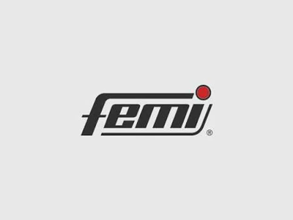 Femi