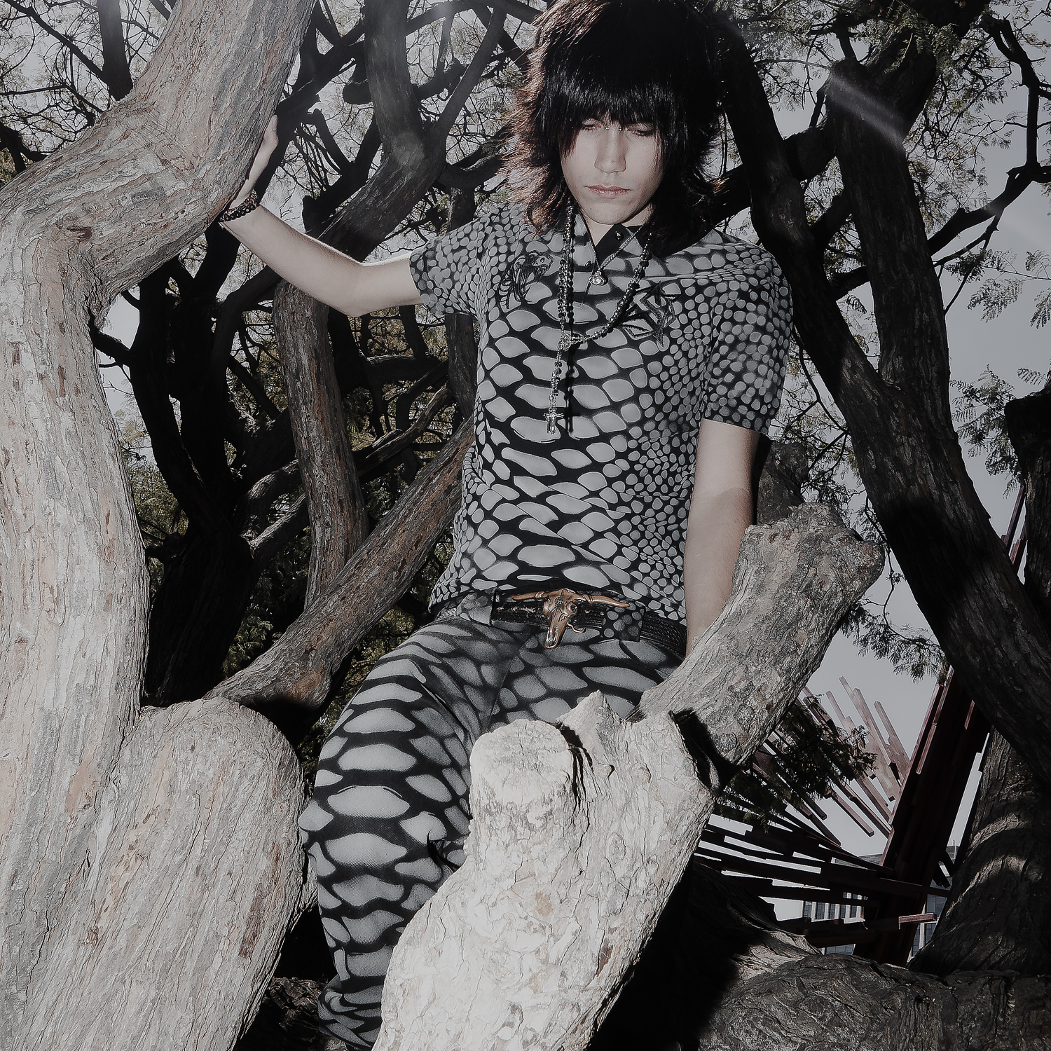 SNAKE LAUREN BLACK 3