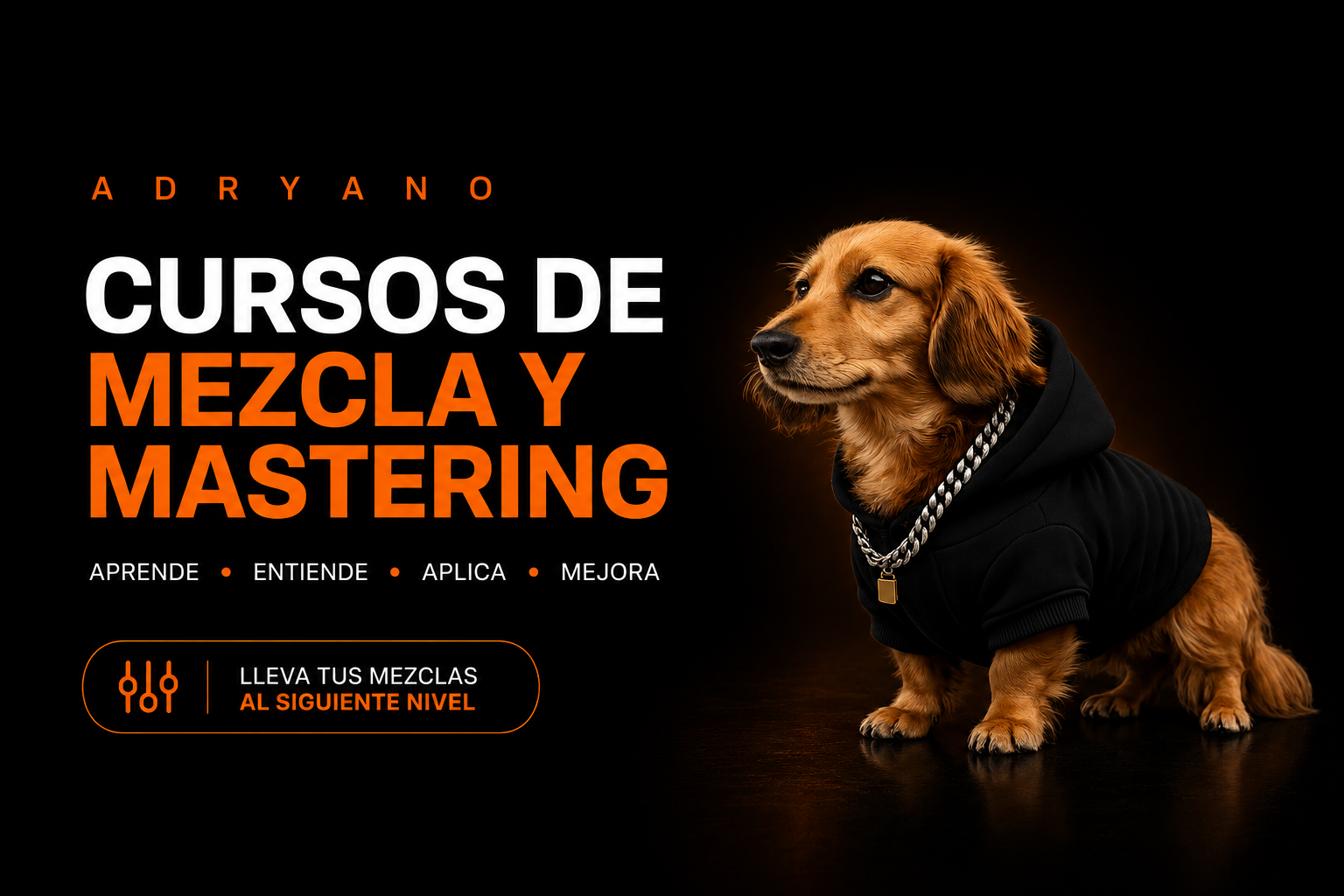 Cursos