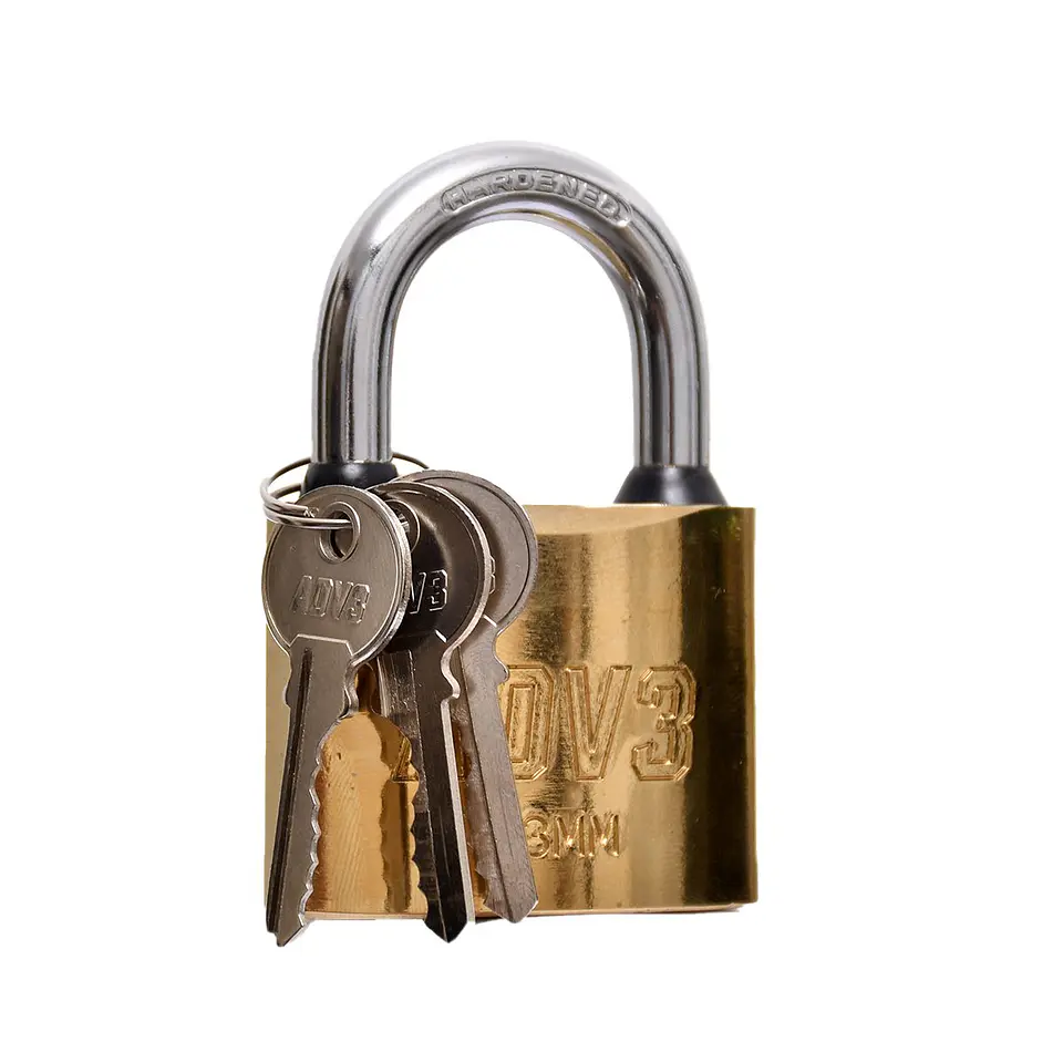 CANDADO DE ALTA SEGURIDAD 63mm 2
