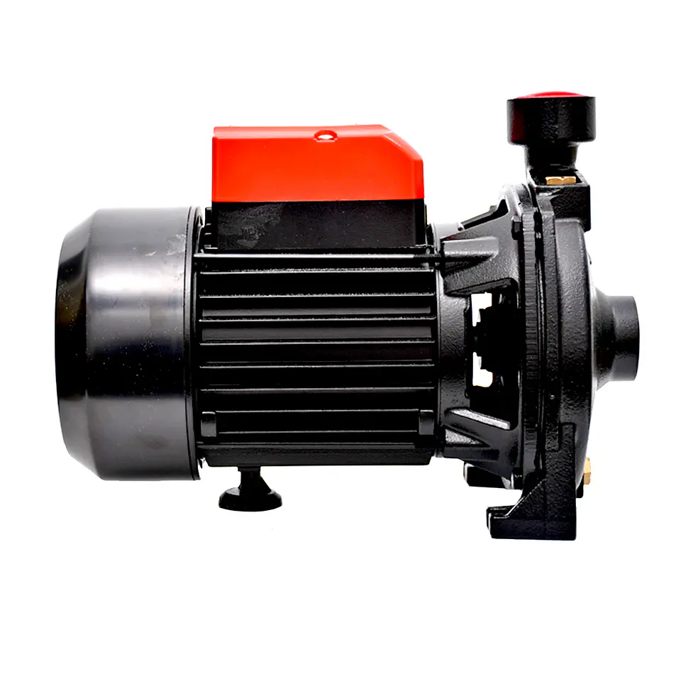 Bomba Centrifuga 0,75 Hp 550W 2