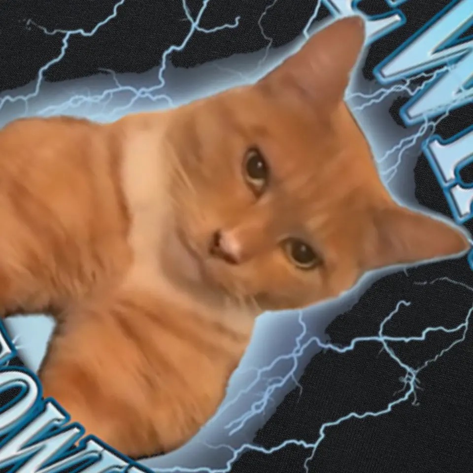 Polera mewing not meowing 3