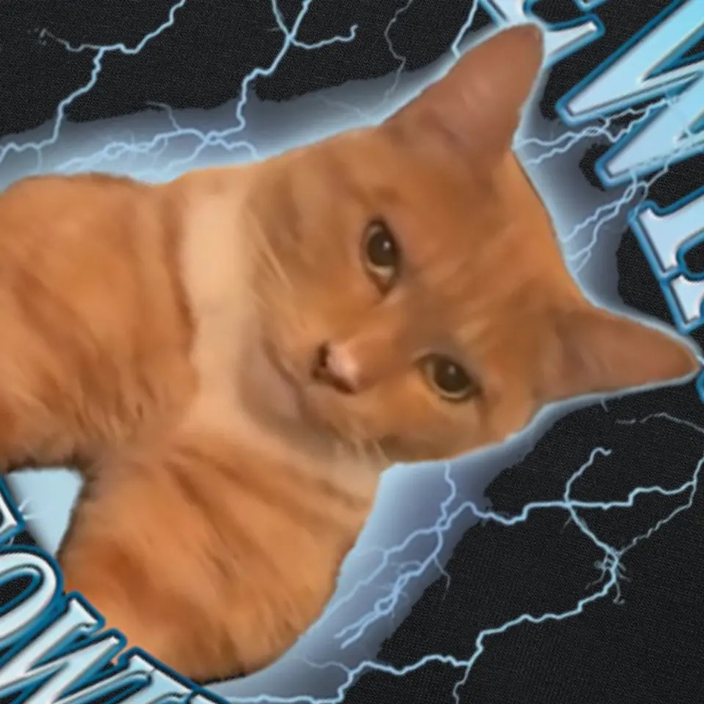 Polera mewing not meowing 3