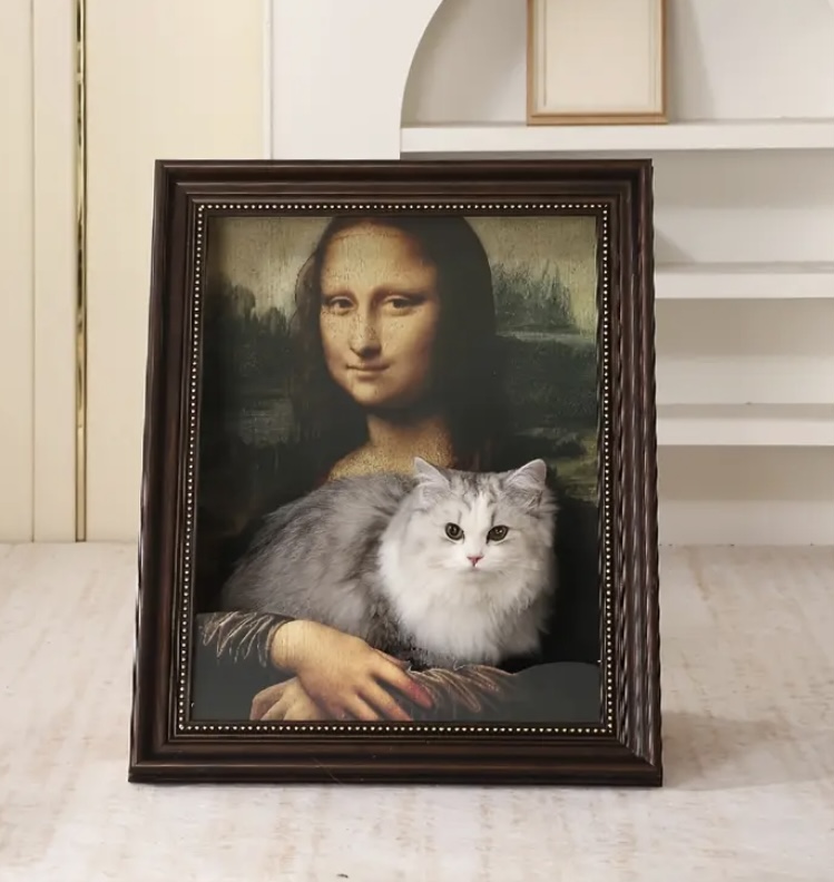 Cama/rascador para gatos - Monalisa  1