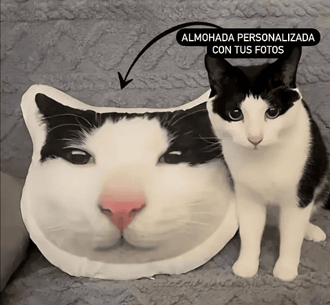Peluche/almohada/cojin personalizado de tus mascotas! 