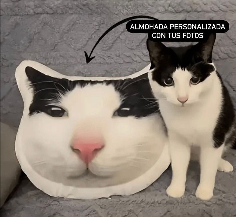 Peluche/almohada/cojin personalizado de tus mascotas!  1