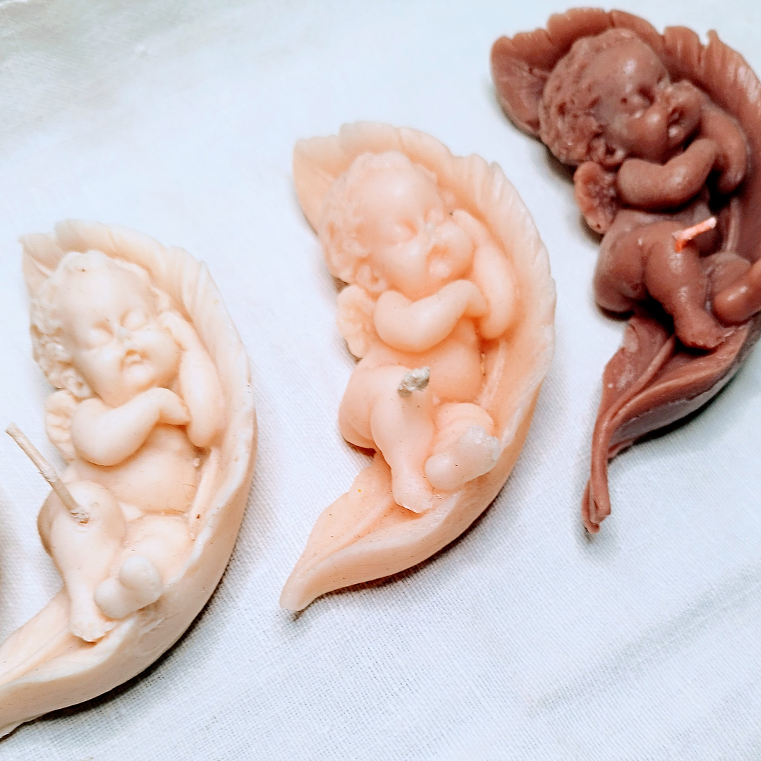 Vela anjo a dormir em folha  3