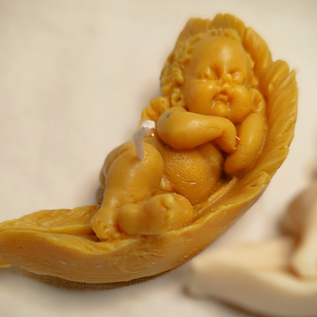 Vela anjo a dormir em folha  4