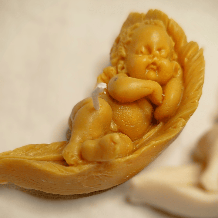 Vela anjo a dormir em folha  4