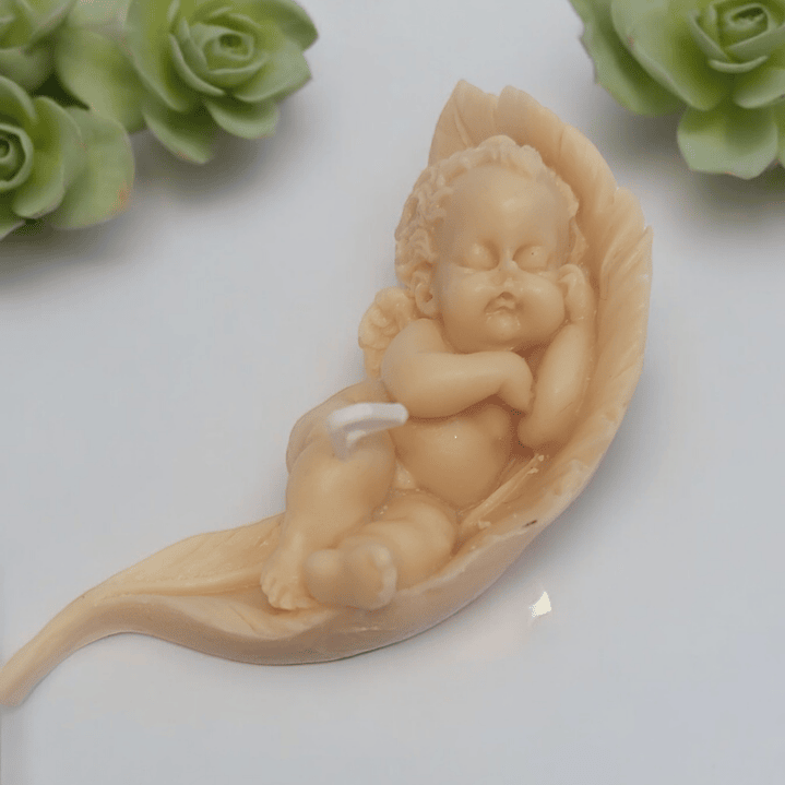 Vela anjo a dormir em folha  5