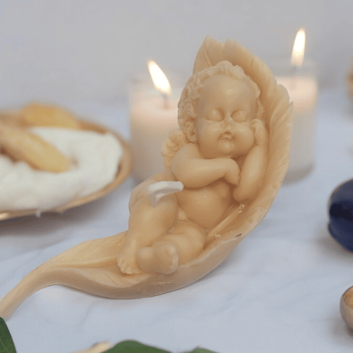 Vela anjo a dormir em folha  1