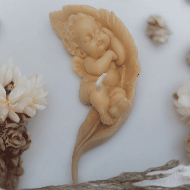 Vela anjo a dormir em folha  6